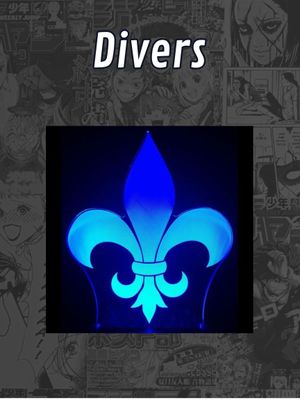 Divers
