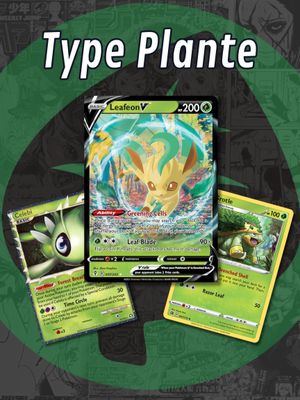 Type Plante