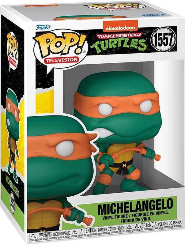 Ey253 Michelangelo 1557