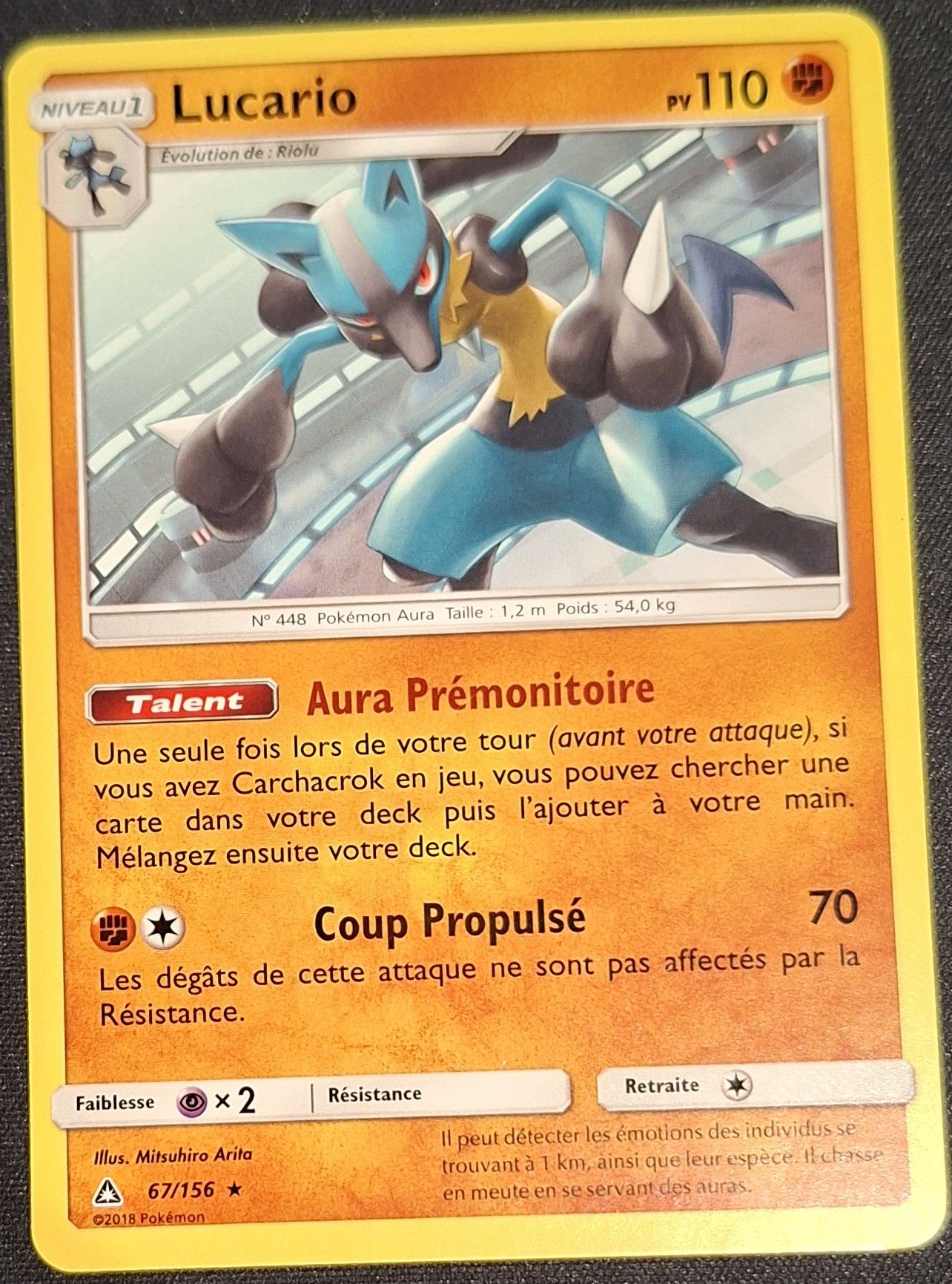 *zz17 Lucario 67/156 (NM)