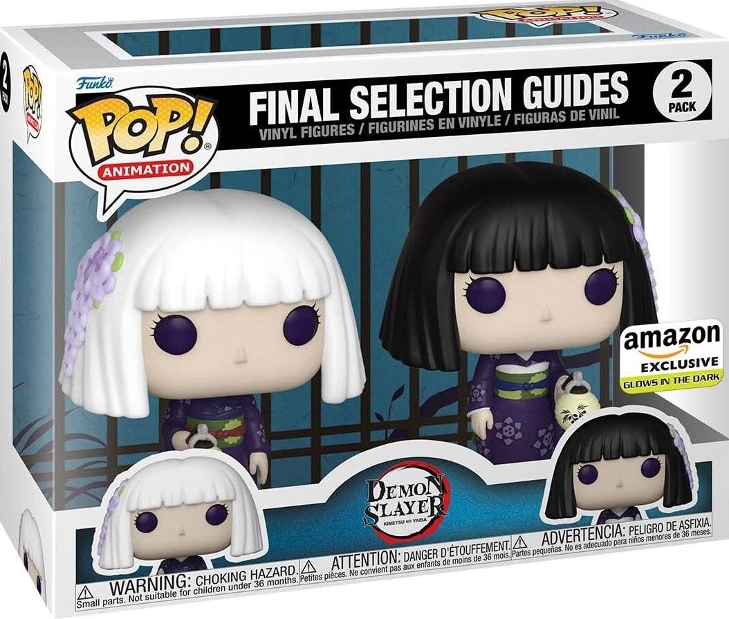 QS67 Final Selection Guides Amaz. 2 Pack