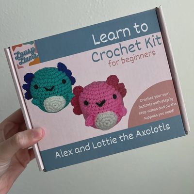 Learn to Crochet Kit