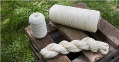 Warp Yarn 100% Wool