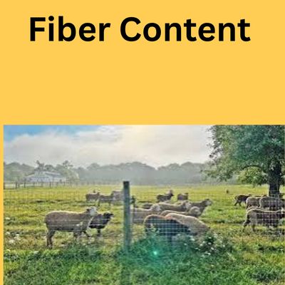 Fiber Content