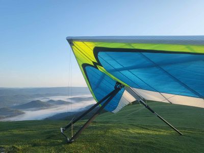 New Gliders