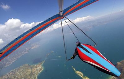 New In Stock Harnesses