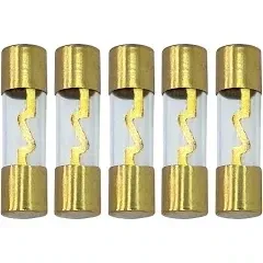 A.A AGU Fuse 100A 100 Amp Gold Glass Inline for Car/Auto/Marine Audio Stereo Amplifier Power Protection 100 Amp