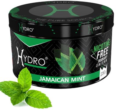 Hydro Hookah Flavors, Nicotine-Free - Signature Hookah Flavor Blends, Delicious Shisha Hookah Flavors Nicotine Free and Tobacco Free, Alternative to Hookah Tobacco, 250g [Jamaican Mint]