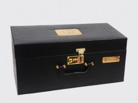 Cocoyaya Rio Fly Hookah with Case