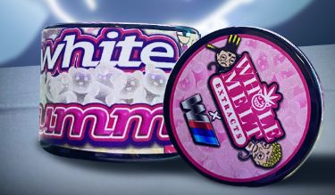 Whole Melt Extracts X the Water Boyz – White Gummy Live Rosin – 2GM