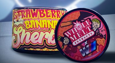 Whole Melt Extracts X the Water Boyz – Strawberry Banana Sherbert Live Rosin – 2GM