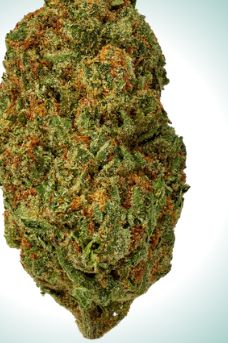 Super Lemon Haze 3.5g