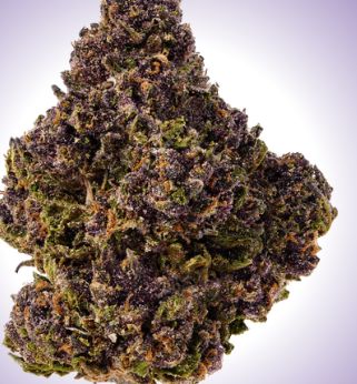 Tropicana Cherry Cookies 3.5g