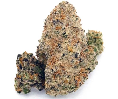 Biscotti Pancakes Hybrid 3.5g