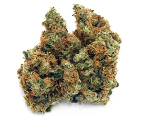 Jack The Ripper Sativa-Hybrid 3.5G