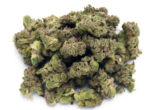 Space Center Indica 3.5g