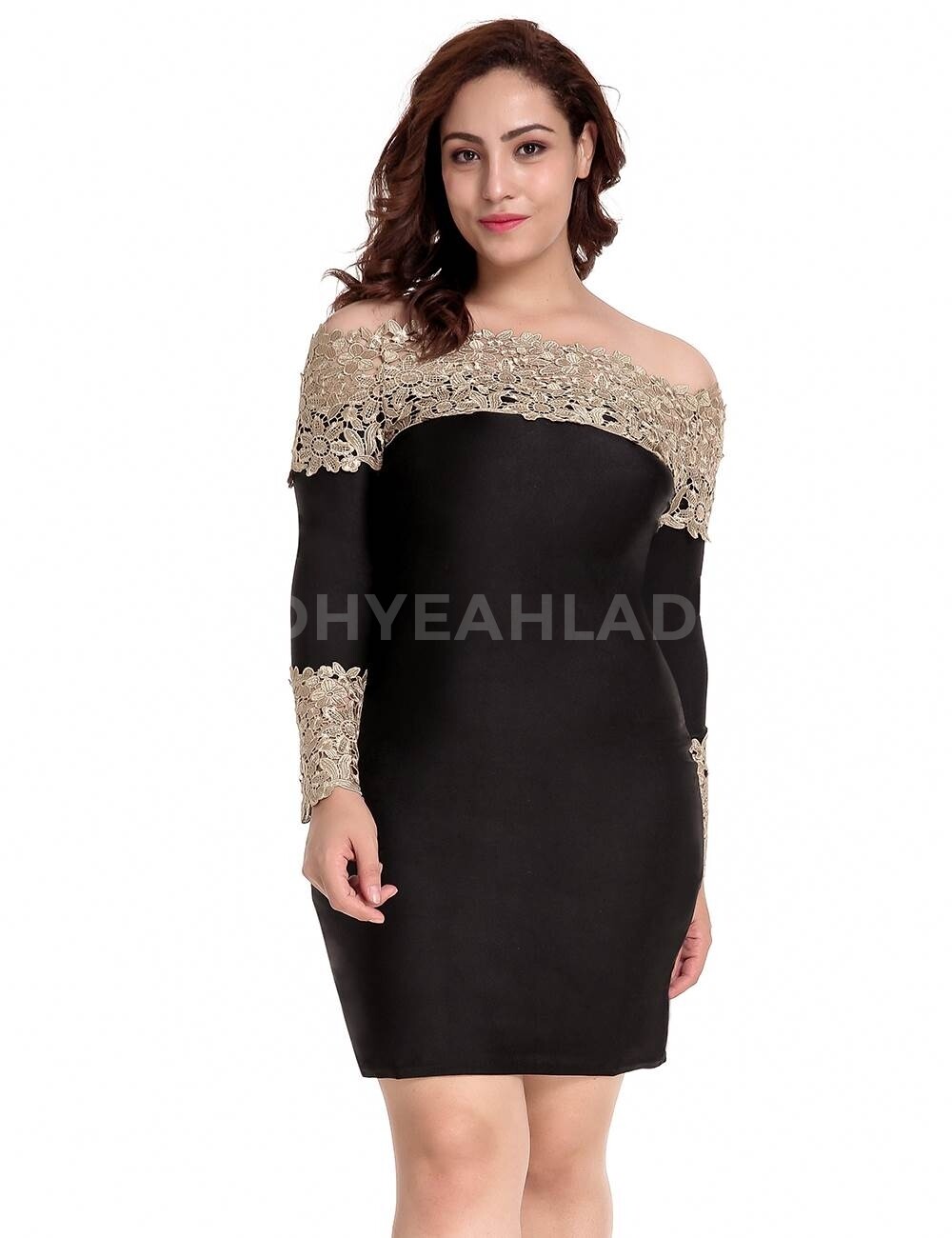 Long Sleeve Off-Shoulder Fashion Lace Dress