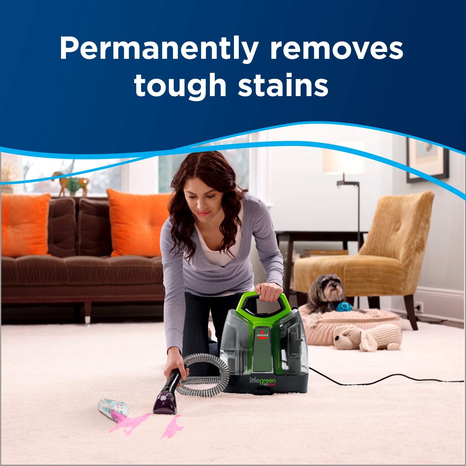BISSELL Little Green Proheat Portable Deep Cleaner/Spot Cleaner and Car/Auto Detailers with Self-Cleaning HydroRinse Tool for Carpet and Upholstery, 2513E