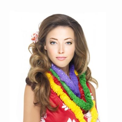 GADGET HAWAII