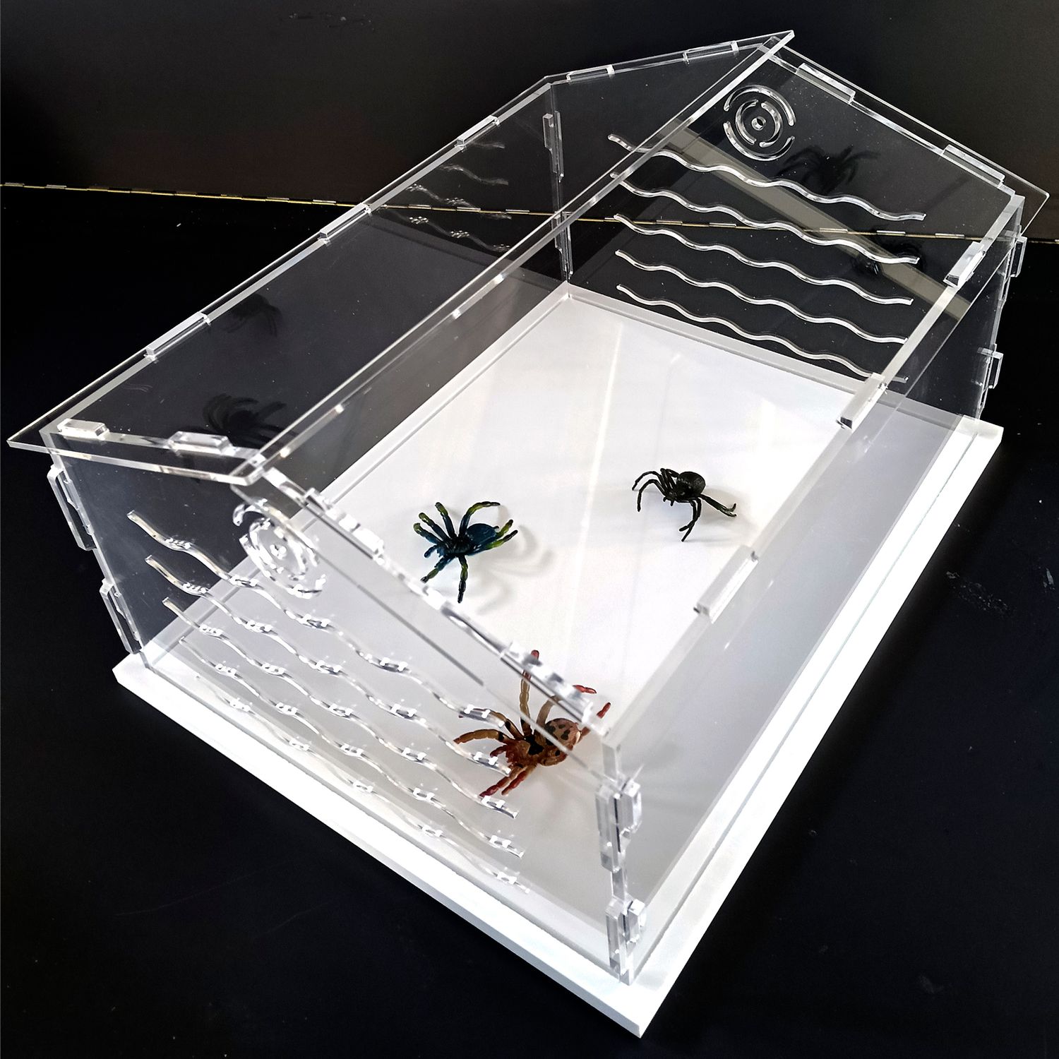 TERRARIO PER TARANTOLE E RAGNI