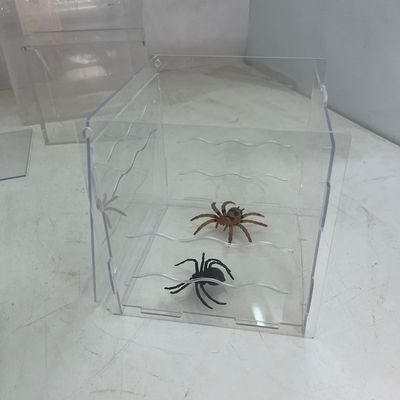 TERRARIO PER TARANTOLE E RAGNI