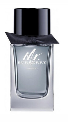 MR. BURBERRY INDIGO EDT 3.4 FOR MEN