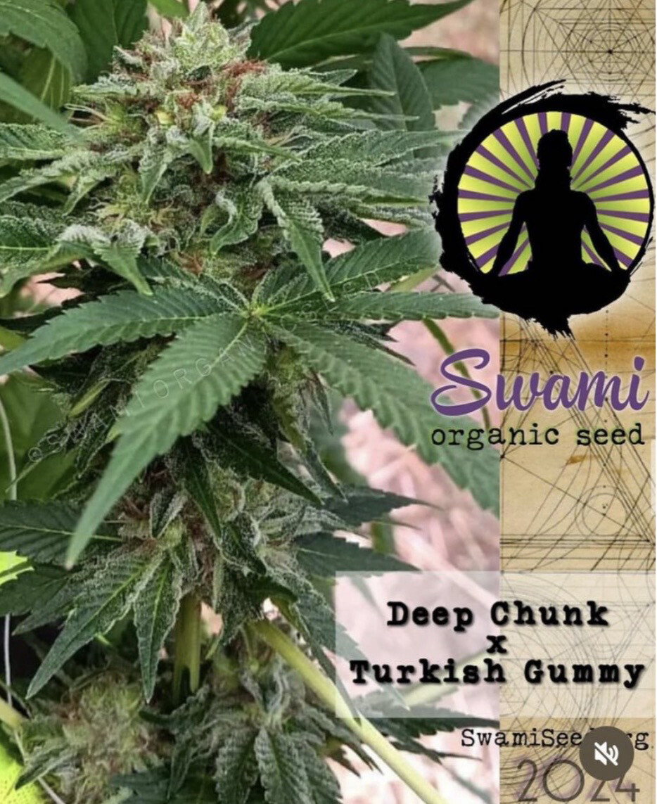 Deep Chunk x Turkish Gummy F2