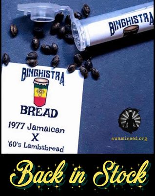 Binghistra Bread