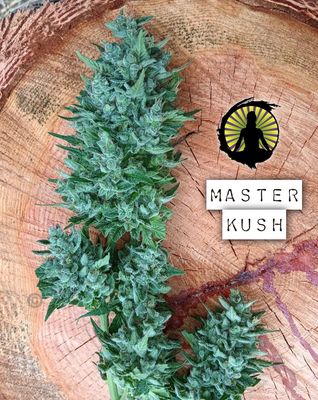 Master Kush x Deep Chunk/Turkish Gummy
