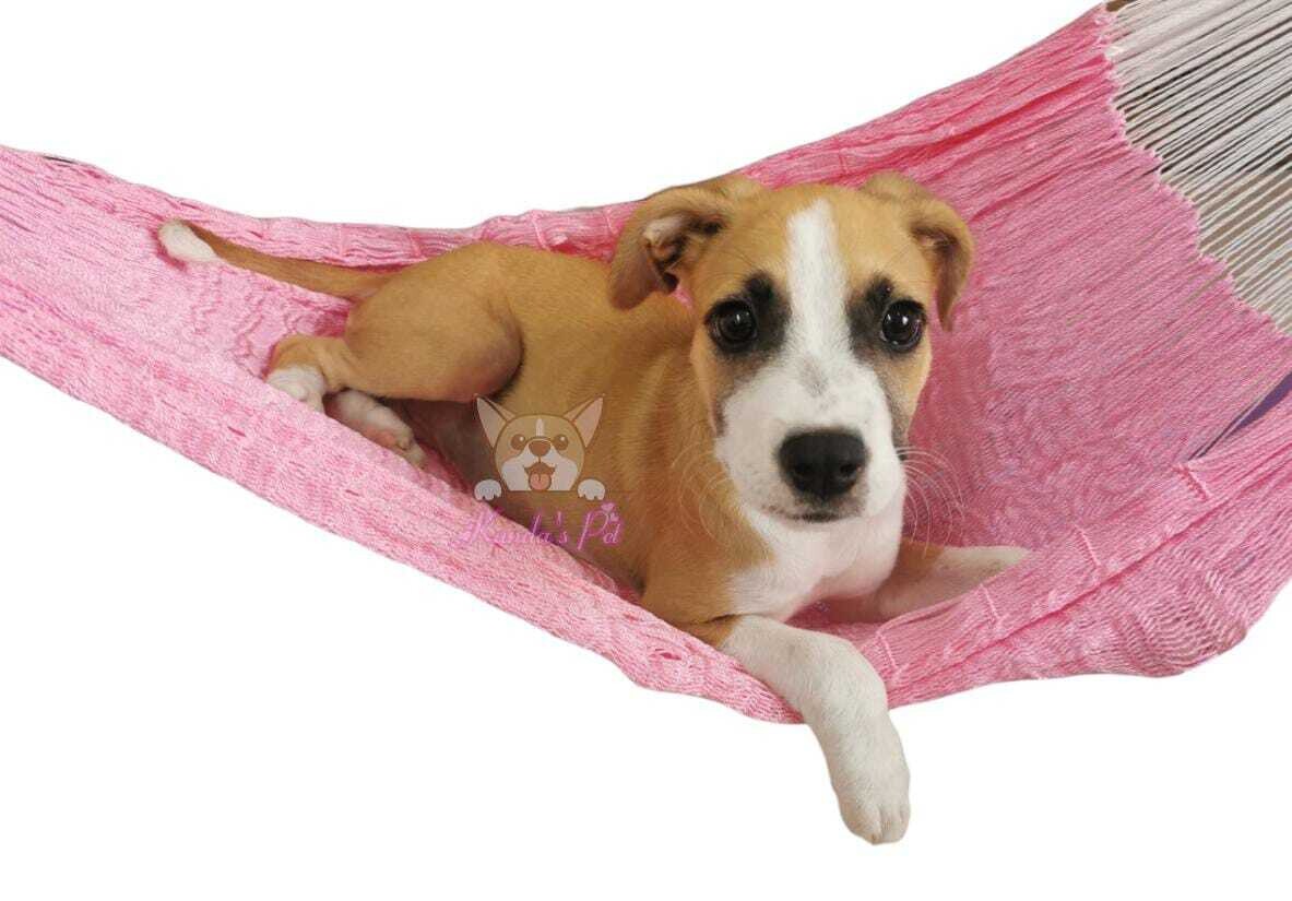 Hamaca pet mediana