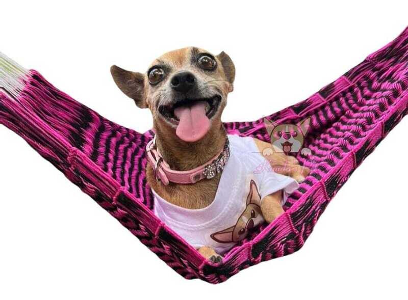 Hamaca pet chica