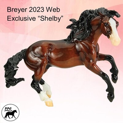 2023 Web Special Gamblers Choice Mustang "Shelby" LE NIB