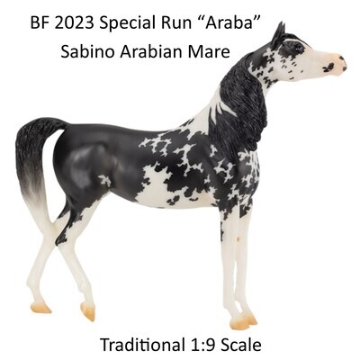 BF 2023 Special Run "Araba" Sabino Mare LE Pre-Order