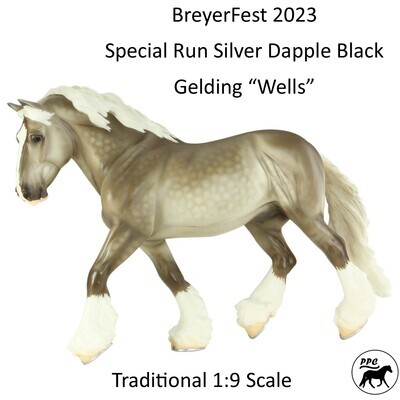 BF 2023 Special Run Shire Gelding "Wells" LE Pre-Order