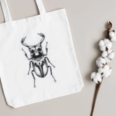 Staghorn Beetle