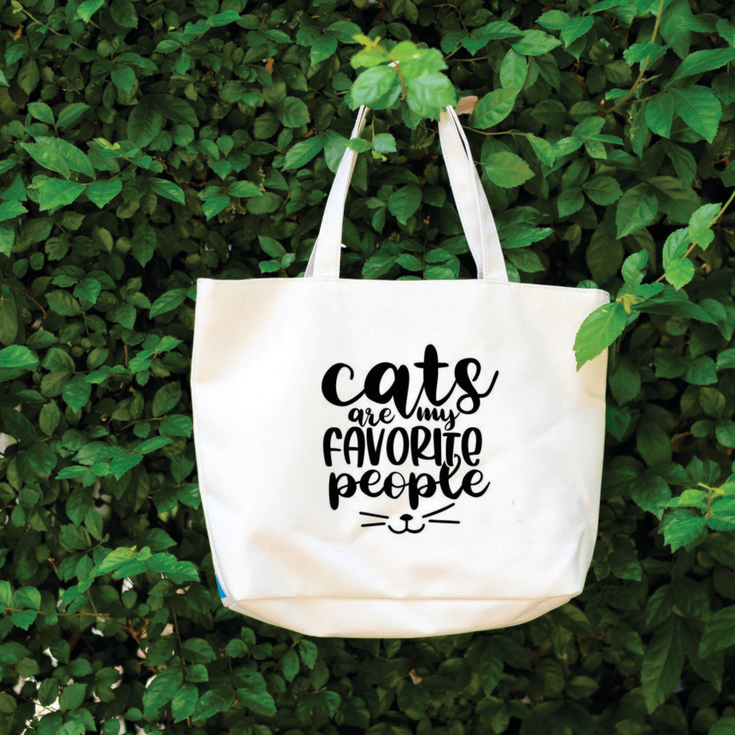 Cats are my favourite people