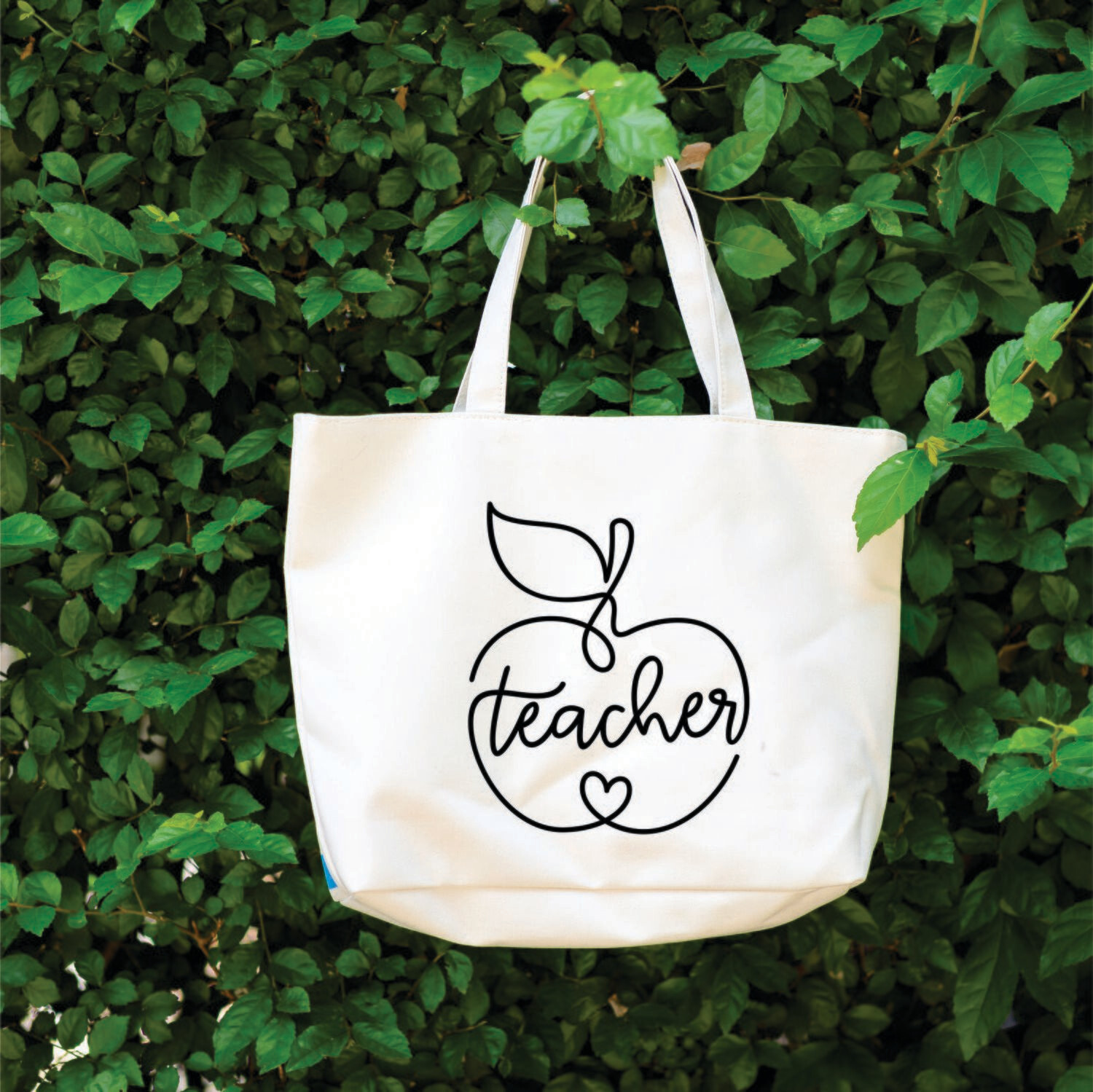 An apple for the teacher, with love