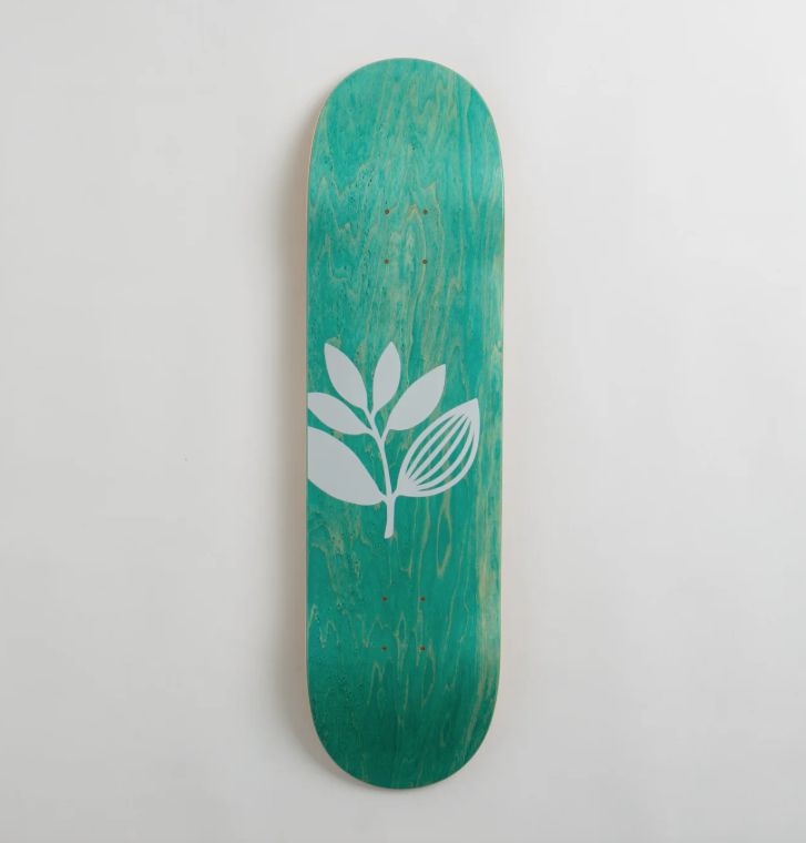Magenta - Big Plant 8.25