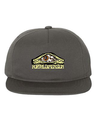 Portal Dimension - Third Eye Hat Grey