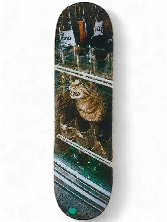GX1000 Bodega Cat - 8.375