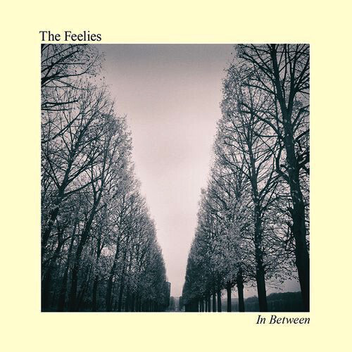 Feelies – In Between LP