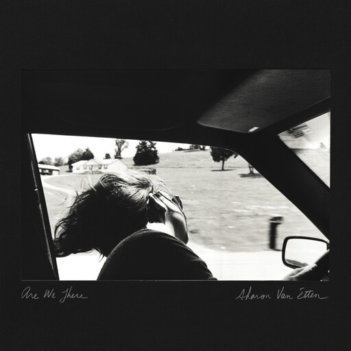 Sharon Van Etten ‎– Are We There LP