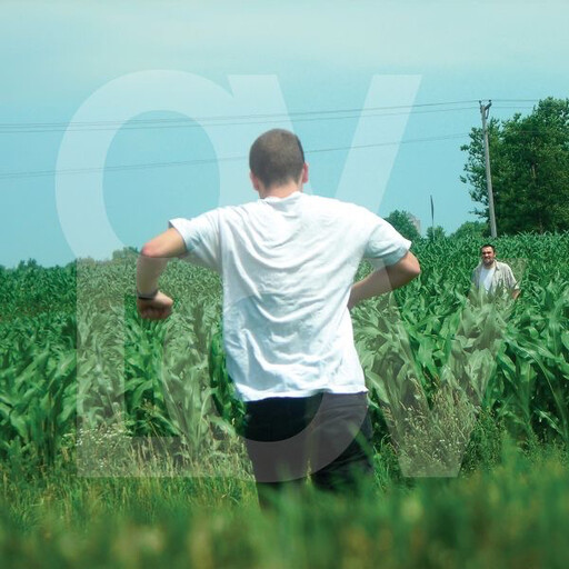 Ovlov – Am LP