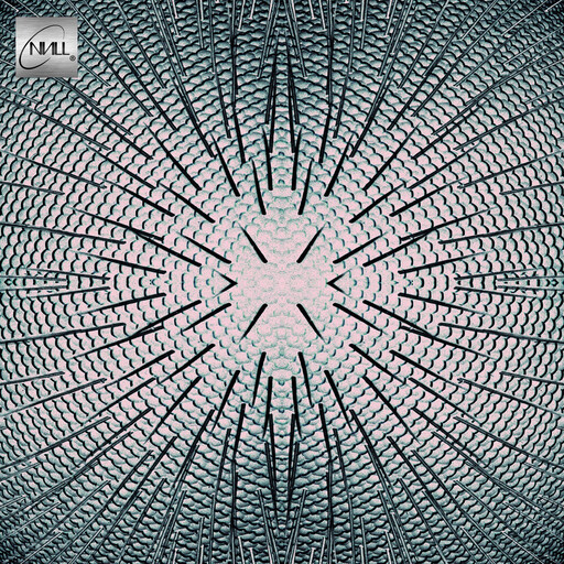 Null ‎– Almost LP clear vinyl
