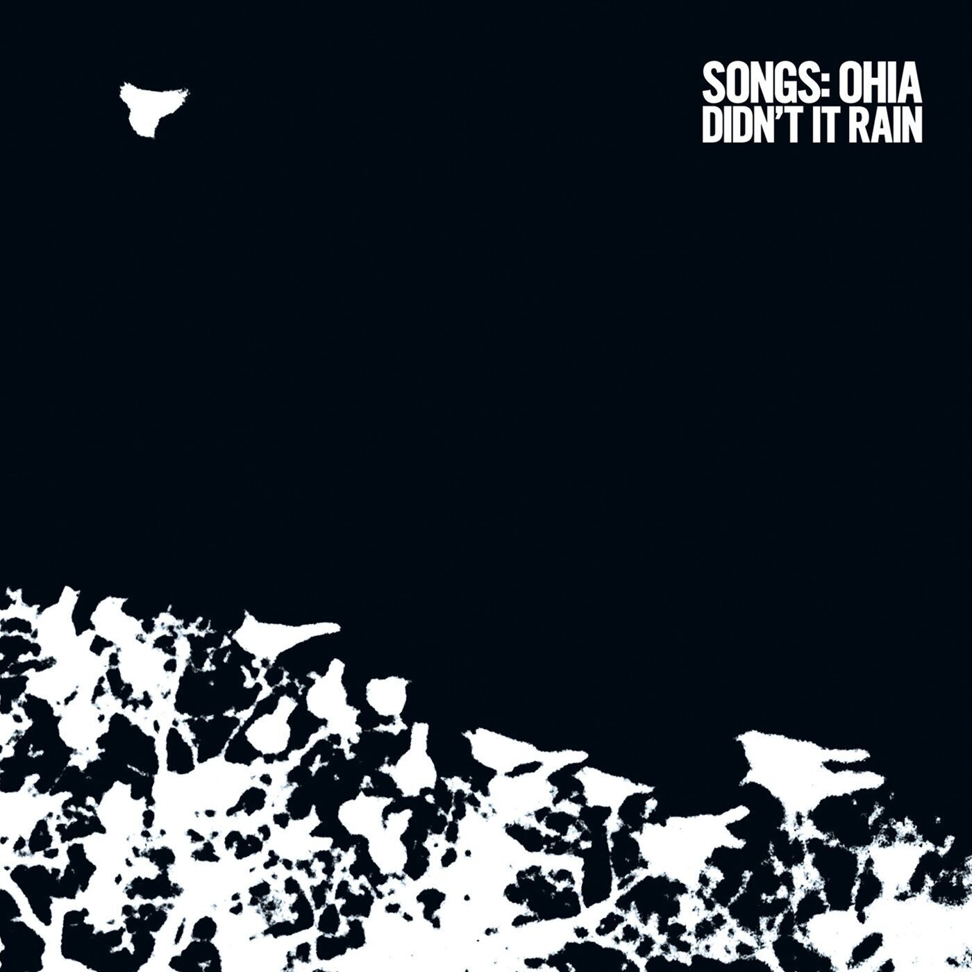 Songs: Ohia ‎– Didn't It Rain LP deluxe