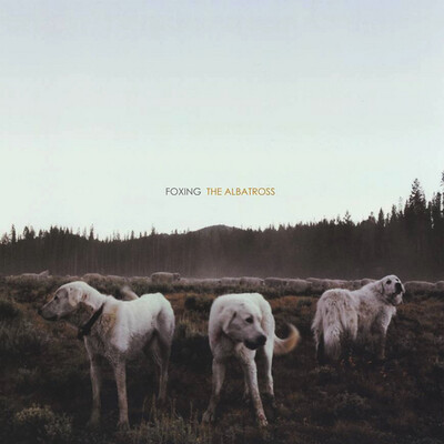 Foxing ‎– The Albatross LP
