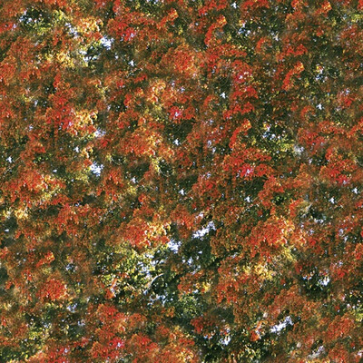 Camp Fires – Stormy Late Fall / Rustic Arcadia / She Was Down 7''