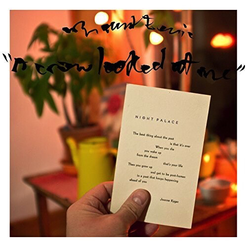 Mount Eerie ‎– A Crow Looked At Me LP