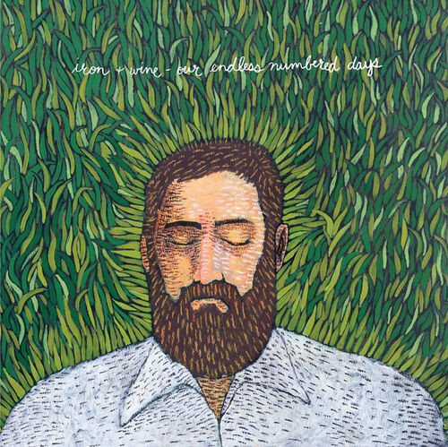 Iron + Wine ‎– Our Endless Numbered Days LP