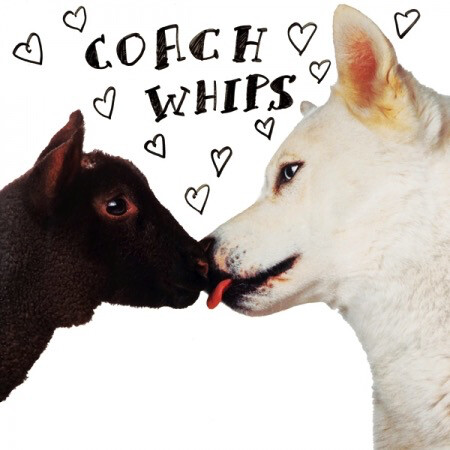 Coachwhips ‎– Bangers Vs. Fuckers LP